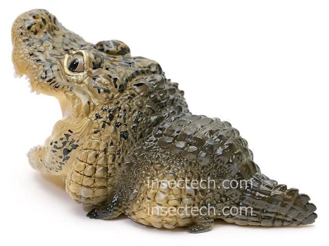 動物の惑星】☆ナイルワニ上海WF188体限定+オオアリクイ&シャチ