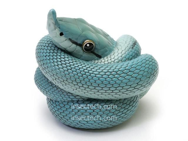 動物の惑星】「シークレット」バロンコダマヘビ（ブルー）フィギュア