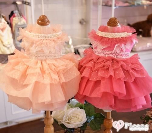 BONNIE&CO. - ドッググッズ 通販/販売 プードルごはんの Picone（ピコネ）