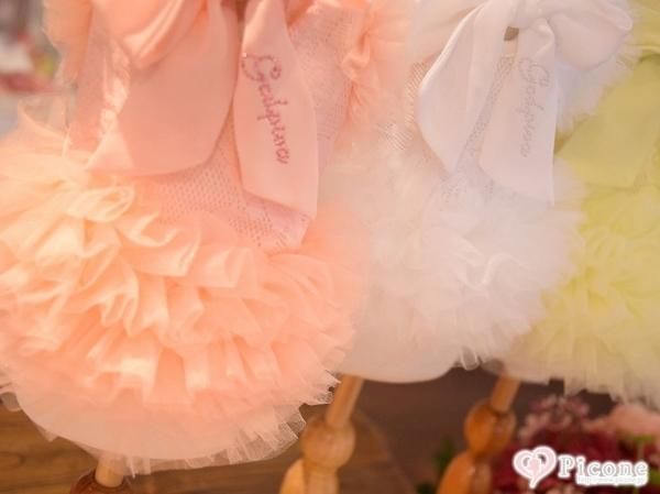 GODPIVA】COOLブライトチュチュワンピース - ドッググッズ 通販/販売