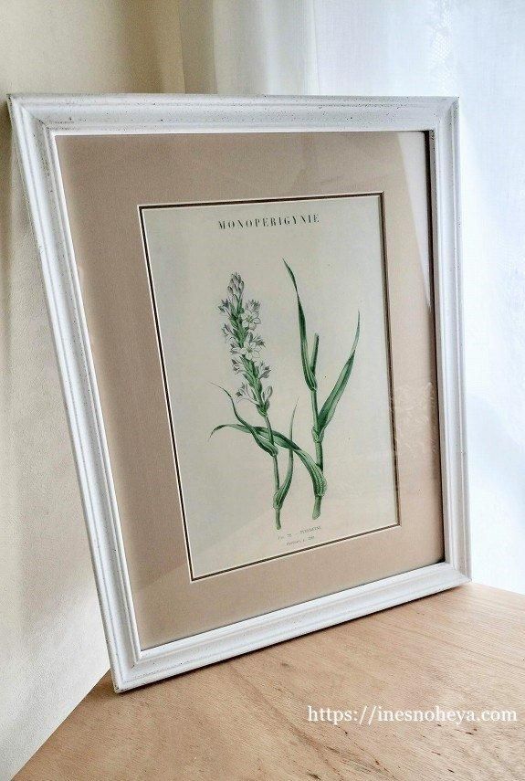 ボタニカルアート額縁絵 アンティーク ボタニカルアート額縁絵
