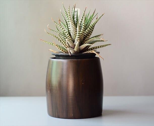 アンティーク 鉢カバー」の人気商品一覧 | 安い商品を通販サイトから