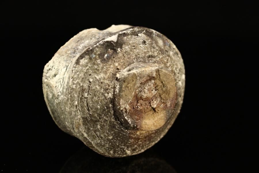 谷本洋 光生伊賀ぐい呑 [Kousei Iga Guinomi by Yoh Tanimoto