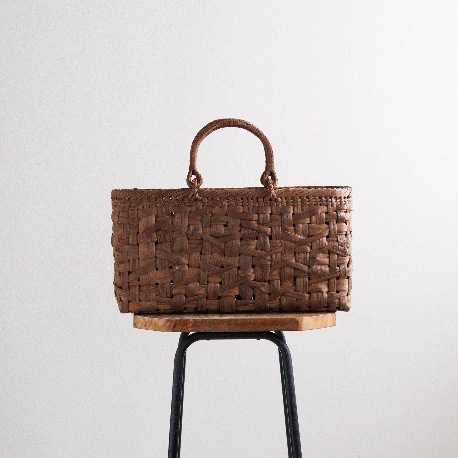 ①-1貝標本ヤエバイトカケ（蓋付：胴太型） ①-1貝標本ヤエバイトカケ