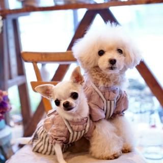 ストライプ・エプロンジャンスカ - 「ブルーブルーブルー blue bleu