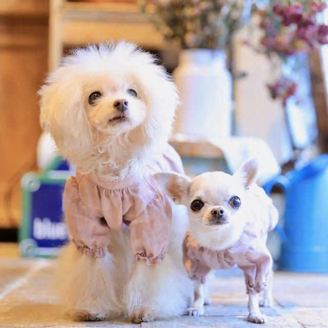 フレンチギャザーブラウス(しっかり生地） - 「ブルーブルーブルー