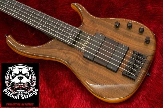 Modulus Quantom5 五弦ベース Modulus Quantom5 五弦ベース Modulus
