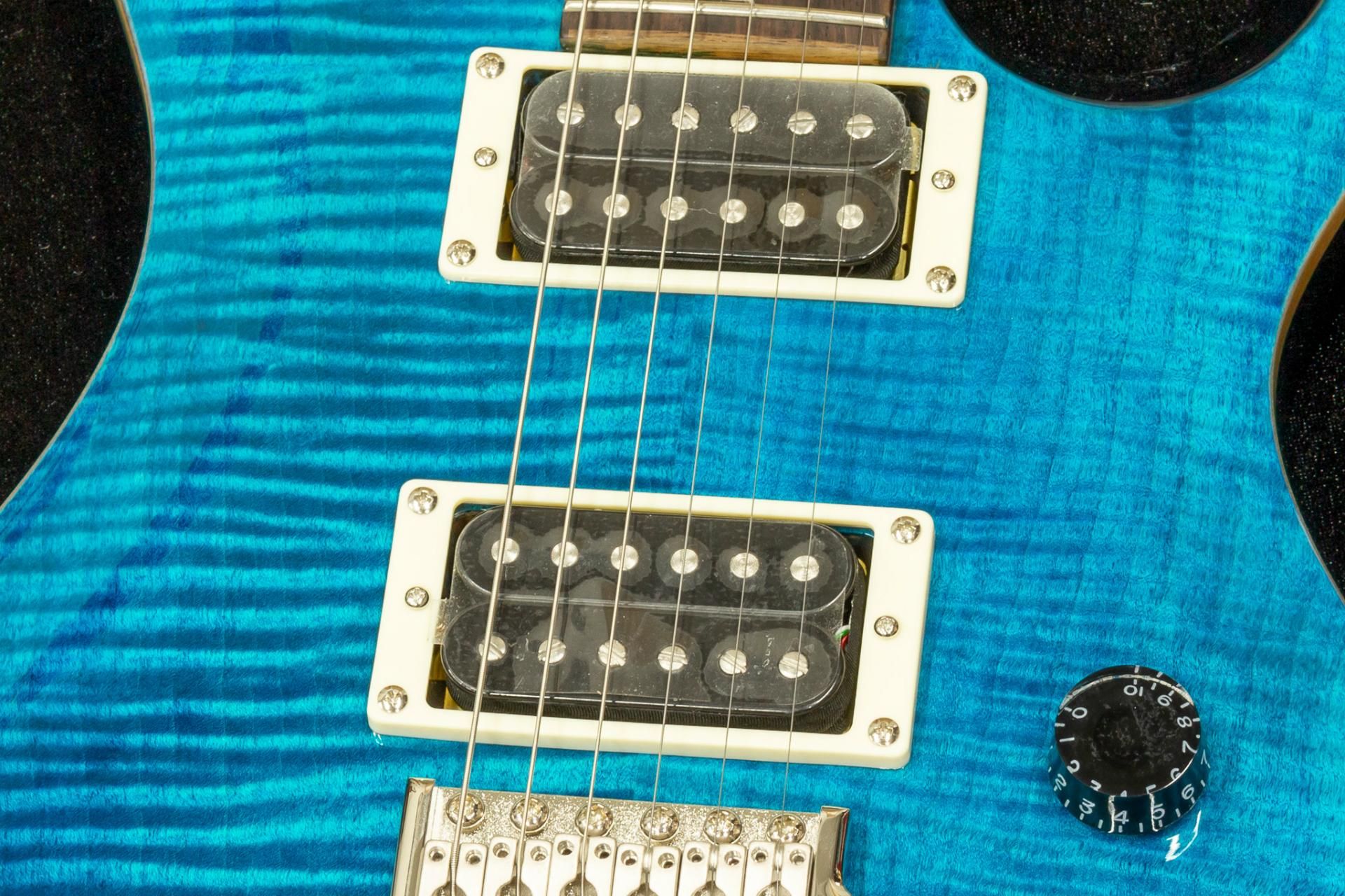 本日限定価格】PRS SE custom24 新ロゴ 純正ソフトケース付き 本日限定