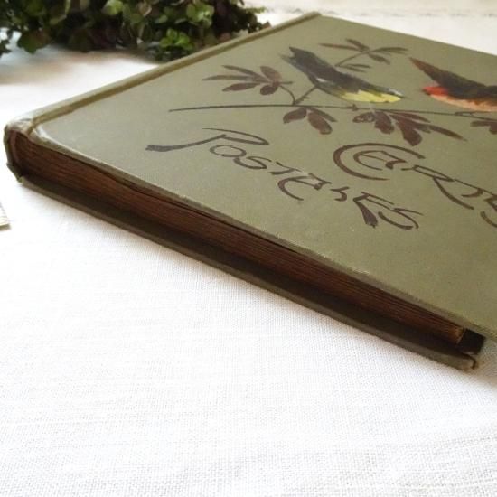 アンティーク アルバム | フランス つがいの鳥 ポストカードアルバム