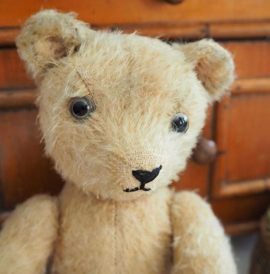 アンティーク テディベア | フランス ベージュ色のテディベア 5