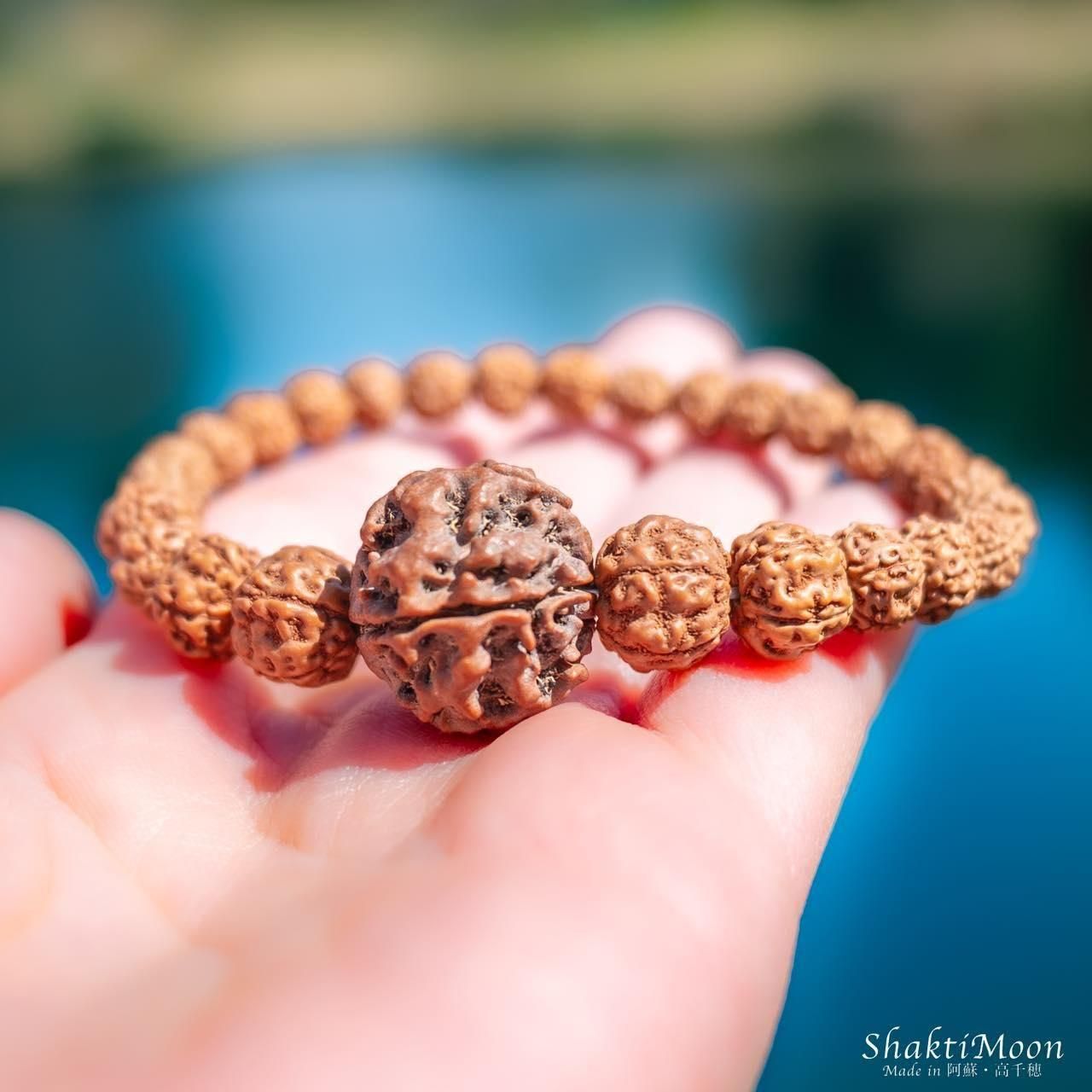 9ムキ(面)のルドラクシャ10mm x 12mmのネックレス インド占星術