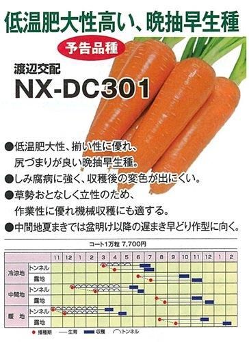 NX－DC301 - オガワのタネ オンラインショップ