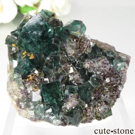 ナミビア Okorusu Mine｜D-Pit産 フローライトの原石 No.54 - cute stone -