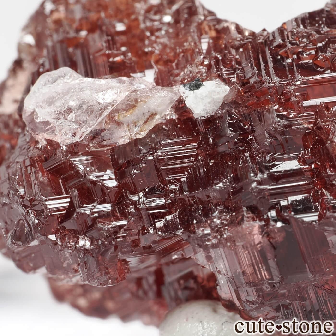 ブラジル Navegadora claim産 スペサルティンガーネット＆クォーツの