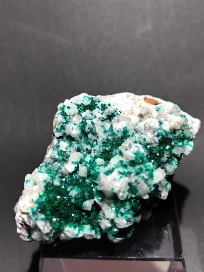 Dioptase:翠銅鉱(ツメブ産）