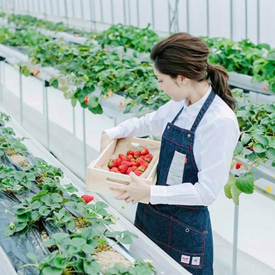 ヤンマー×ベティスミス コラボエプロン - ベティスミス Betty Smith