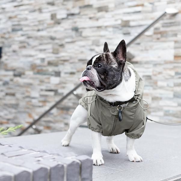 Lambwolf Collective BROOKLYN Raincoat （ラムウルフコレクティブ