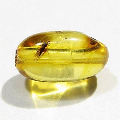 大粒 虫入り天然琥珀 植物片 化石 恐竜 夏休み 自由研究 虫入り琥珀