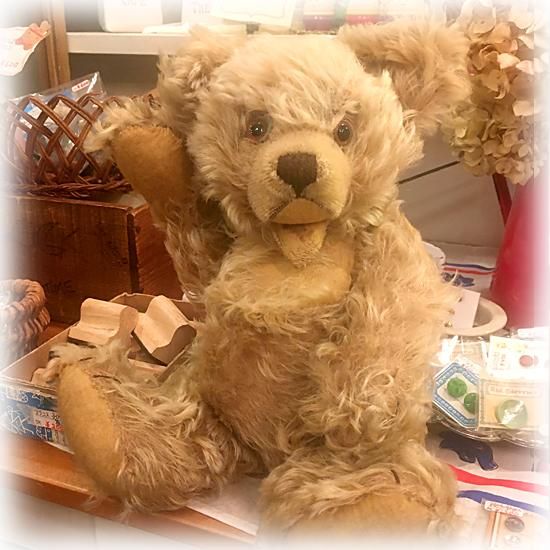 シュタイフ社 ＊ 1950年代ごろのかなり古いビンテージのゾッティちゃん