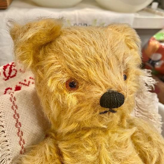 イギリス1950年代 ＊ ”チャド・ヴァレー社 ＊ Chad Valley” テディベア