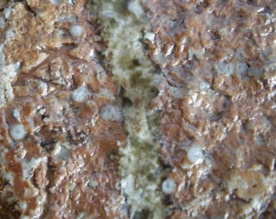 万古焼 信楽旅枕花入 (共箱) 松古窯 佐久間勝山 - 茶道具販売 栗林園