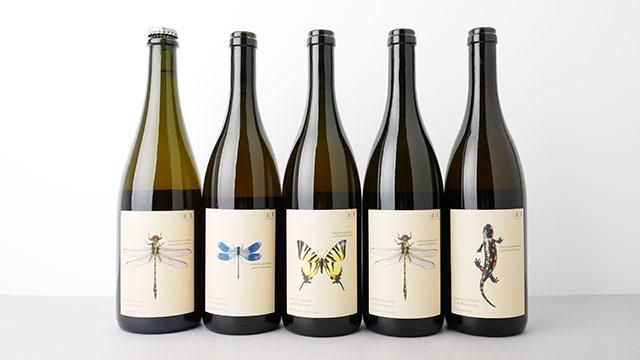 条件有] Grune Libello RESERVE 2019 ANDREAS TSCHEPPE / グリューヌ