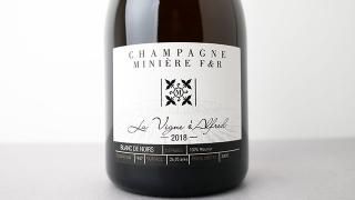 購入条件有] Symbiose 2015 MINIERE / サンビオーズ 2015 ミニエール