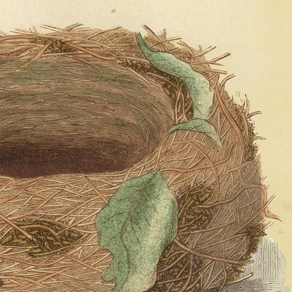 即購入OK エクセルヒューマン 紫色の卵型漆器 自然風景と鳥の絵柄 即