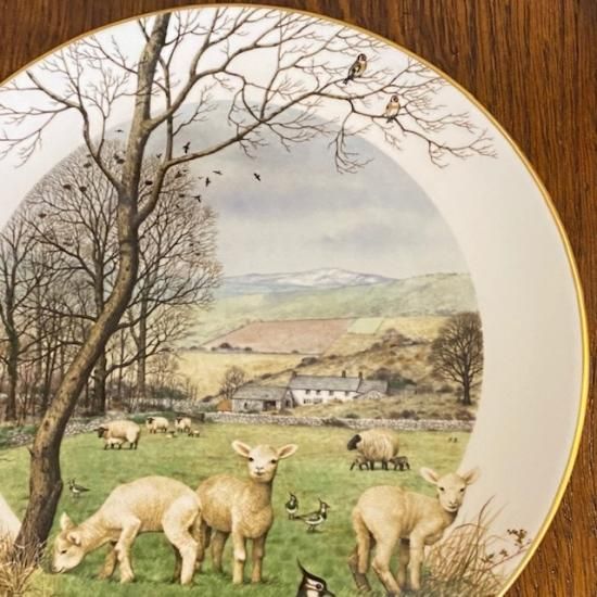 2050 ロイヤルウースターロンドン絵皿 Sue Scullard