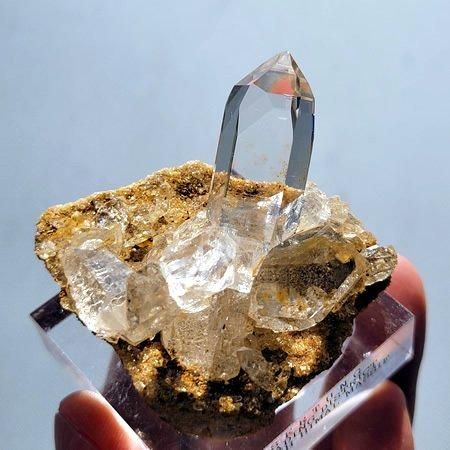 マーミット クリア緑色ラメ入り ドラキュラス 福袋新品 マーミット