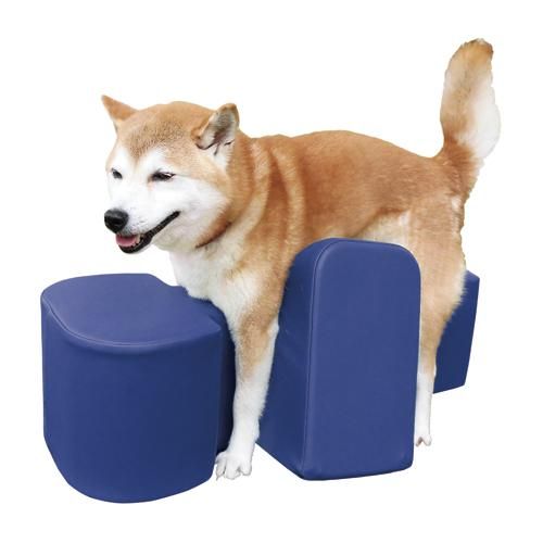 NEW☆姿勢サポートクッション（DMサイズ）☆（レンタル商品） - 愛犬