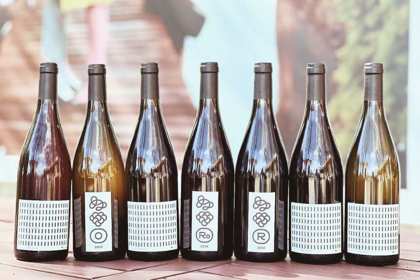 テール・ド・シエル｜大人におすすめの自然派ワイン・ナチュラルワイン