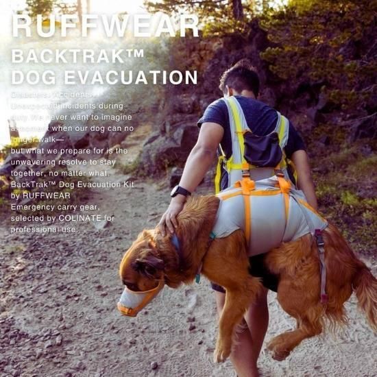 中型犬・大型犬用 BTDE 避難キット【避難用ハーネス+マズルガード