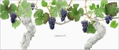 玉村豊男 水仙 版画 ジクレー 大型サイズ 額装品 玉村豊男 水仙 版画