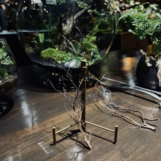 ロングセレクト | ブランチウッド - HIROSE WEB SHOP