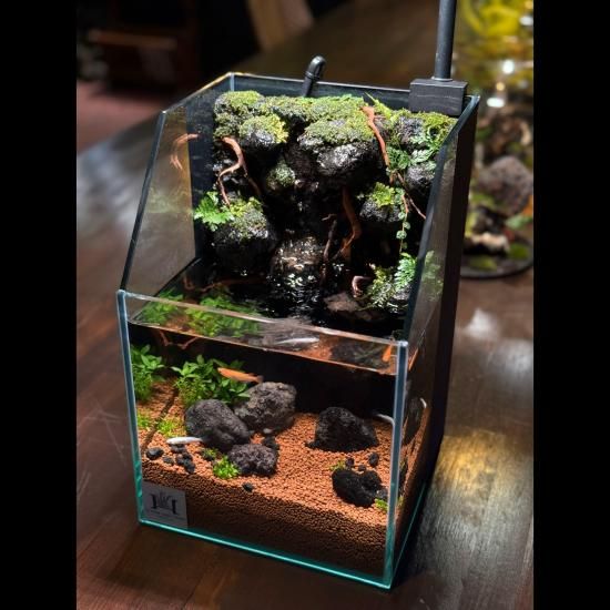 アクアテラリウム“ROCK WALL”|完成品 - HIROSE WEB SHOP