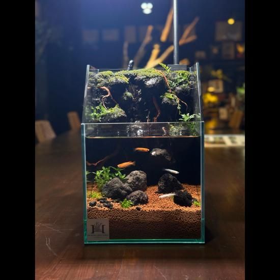 アクアテラリウム“ROCK WALL”|完成品 - HIROSE WEB SHOP