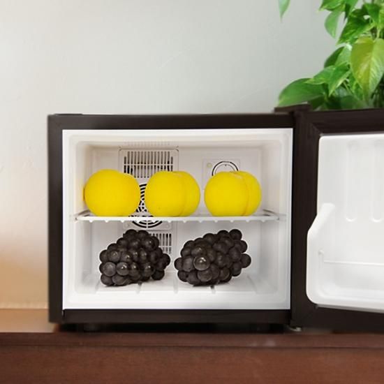 17リットル型小型冷蔵庫 ミニ冷蔵庫 Peltism Proシリーズ