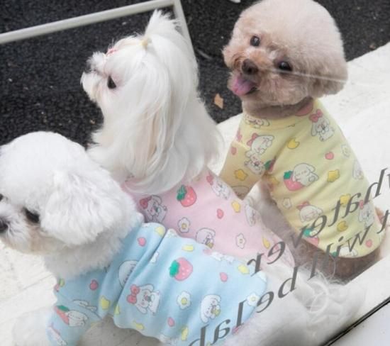 犬服 SS わんこの普段着ときどき白いちご