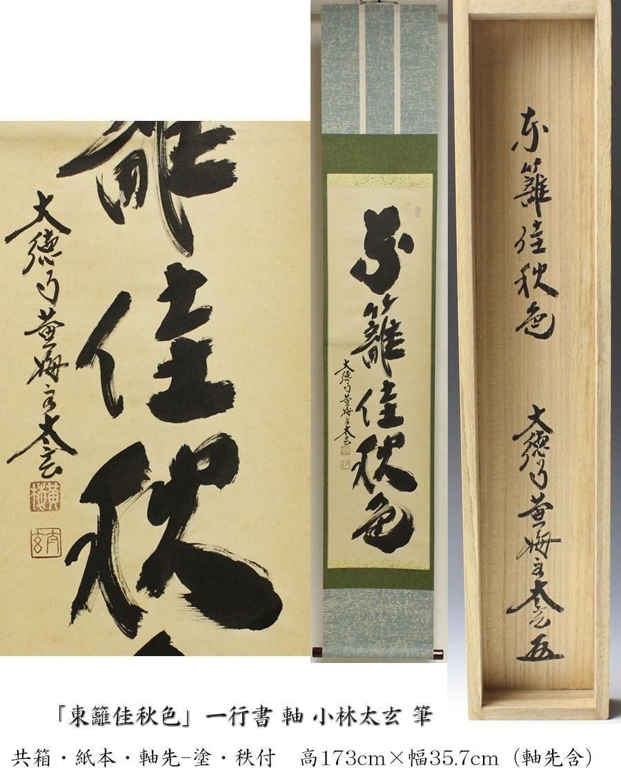 柳生紹尚 茶掛軸 東蘺佳秋色 茶道具 【公式通販】