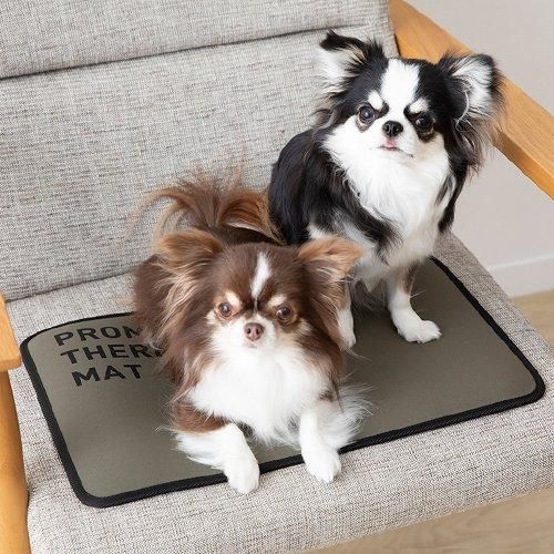 PROMO THERMO】プロモサーモマット ブラックシリカ ペット - GODPIVA