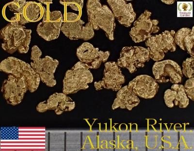 自然金 砂金] アメリカ アラスカ産 10粒セット 中サイズ