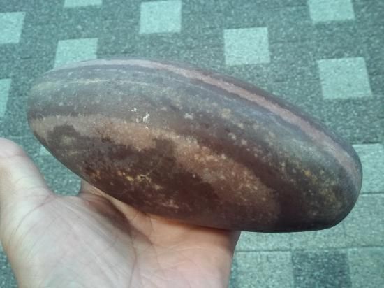 パワーストーン 天然石 希少石 シバリンガム 542g No.260