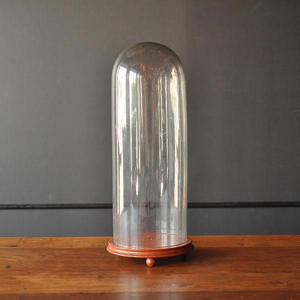 アンティーク ガラスドーム・2 H55cm/フランスアンティーク雑貨・家具