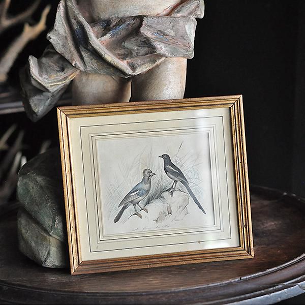 フランスアンティーク額フレーム版画