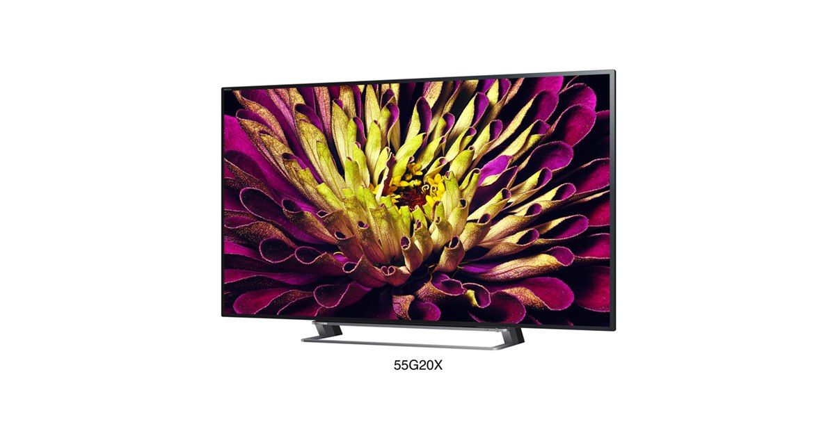 TOSHIBA 55G20X 55インチ液晶テレビ 東芝 液晶テレビ 55インチ TOSHIBA