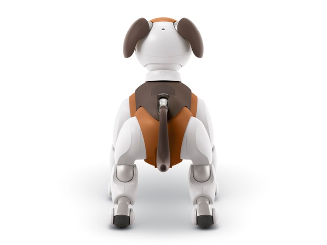 ソニー、aibo（アイボ）の2019年限定カラーモデル「チョコ