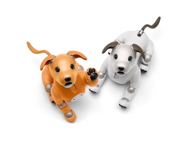 aibo キャラメル くまさん専用 aibo キャラメル くまさん専用 aibo