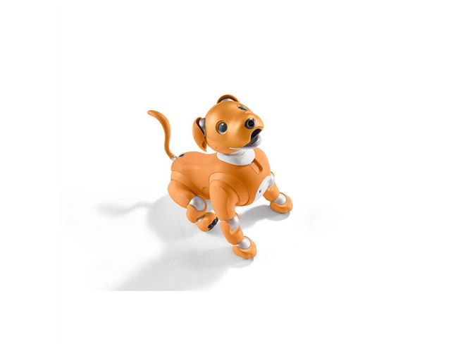 ソニー、aibo（アイボ）の2020年限定カラーモデル「キャラメル