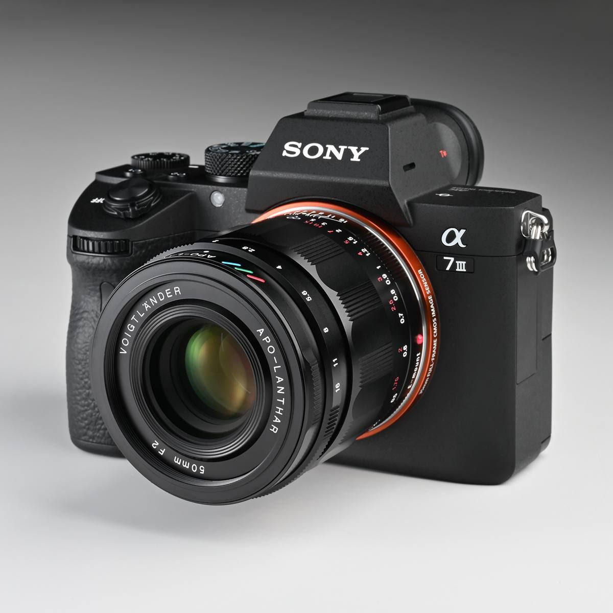 APO-LANTHAR 50mm F2 Aspherical - 株式会社コシナ Voigtlander